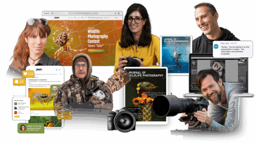 Annual Membership+ Plus