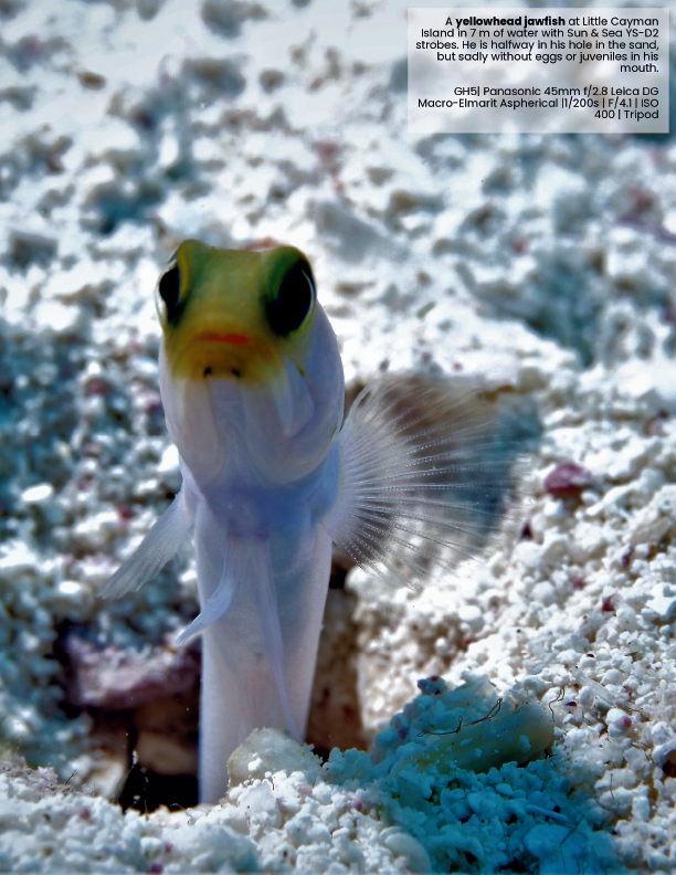 Beneath the Oceans: Your Next Photographic Frontier