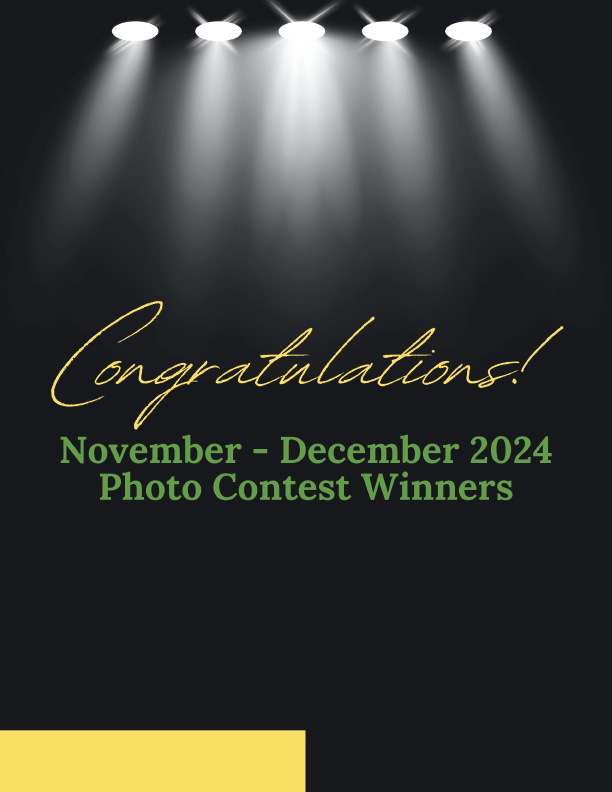 October 2024 - December 2024 Photo Contest Winners