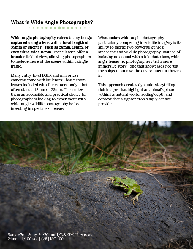 Beyond the Frame: Mastering Wide-AngleWildlife Photography by Tamara Blazquez Haik