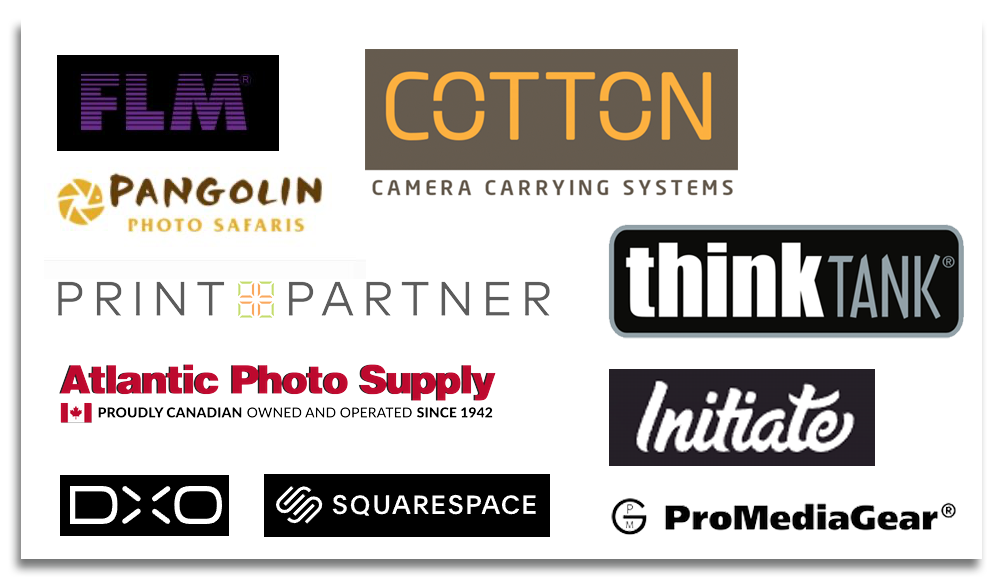 Bonus #5 Discounts from Brands You Love