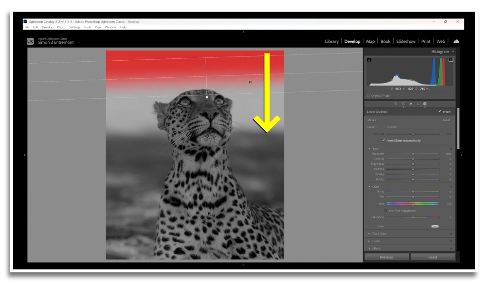 Modules 7-9 Masking Essentials