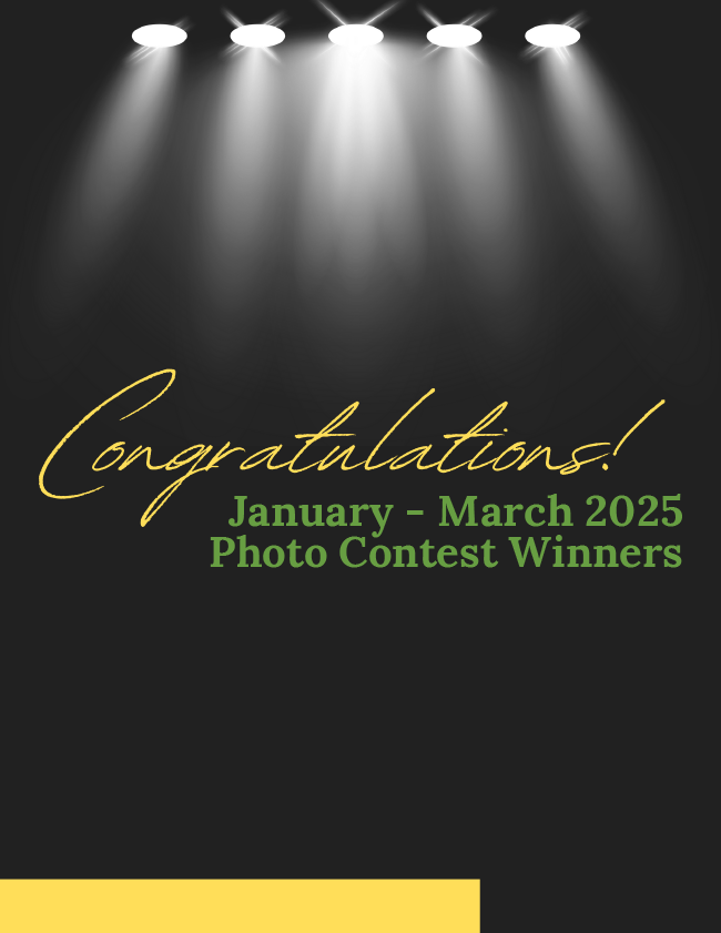January 2025 - March 2025 Photo Contest Winners