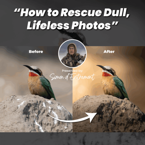 How to Rescue Dull, Lifeless Photos