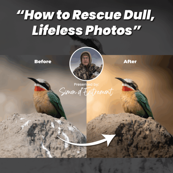 How to Rescue Dull, Lifeless Photos