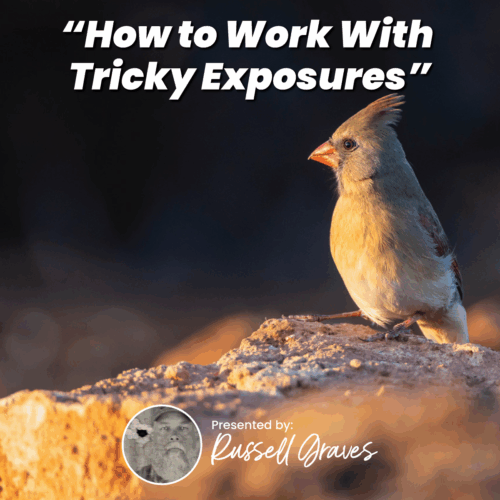 How to Work With Tricky Exposures