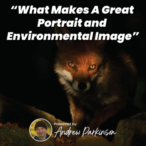 What Makes A Great Portrait and Environmental Image