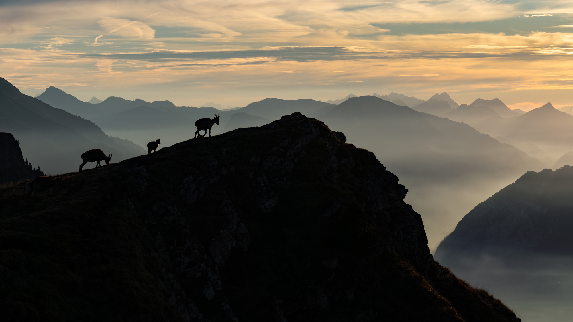 December 2025 Advanced Winner ( Theme "Best of 2025" ) : “To the Throne" by Raphael De Moliner