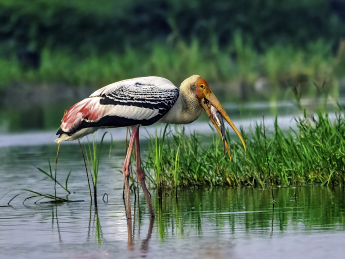 _DSC8787-Edit-Edit